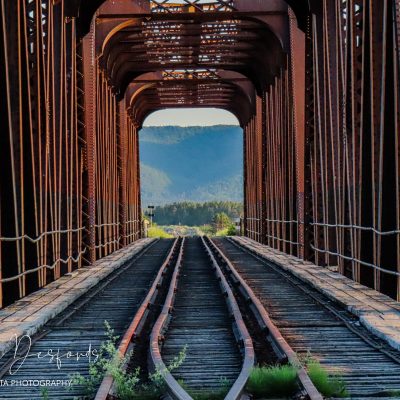 Bridge Train